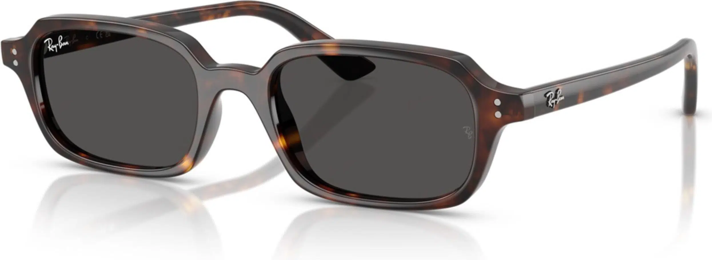 Ray-Ban 0RB4455 135987 49 Unisex Güneş Gözlüğü